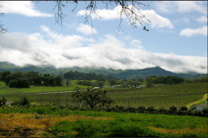 Paso Robles
