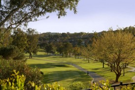 Rancho Bernardo Inn Landscape