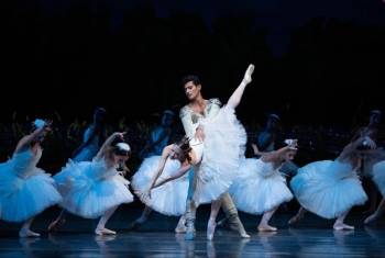 swanlakeseg