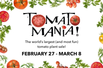 tomatomania26