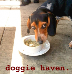 Doggie Haven