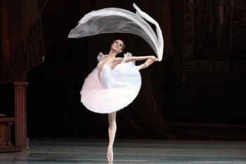 galaofthestars2026