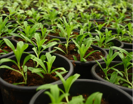 Earth Day at the Ecology Center