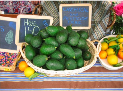 Old Towne Orange's Farmers and Artisans Market