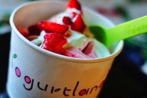 Yogurtland